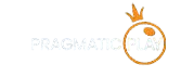 프라그마틱 분석기